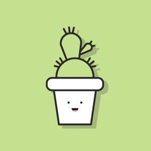 Config product with SKU